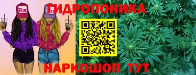сатива Усть-Илимск